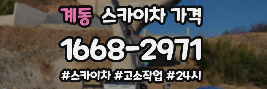 계동 스카이차 가격