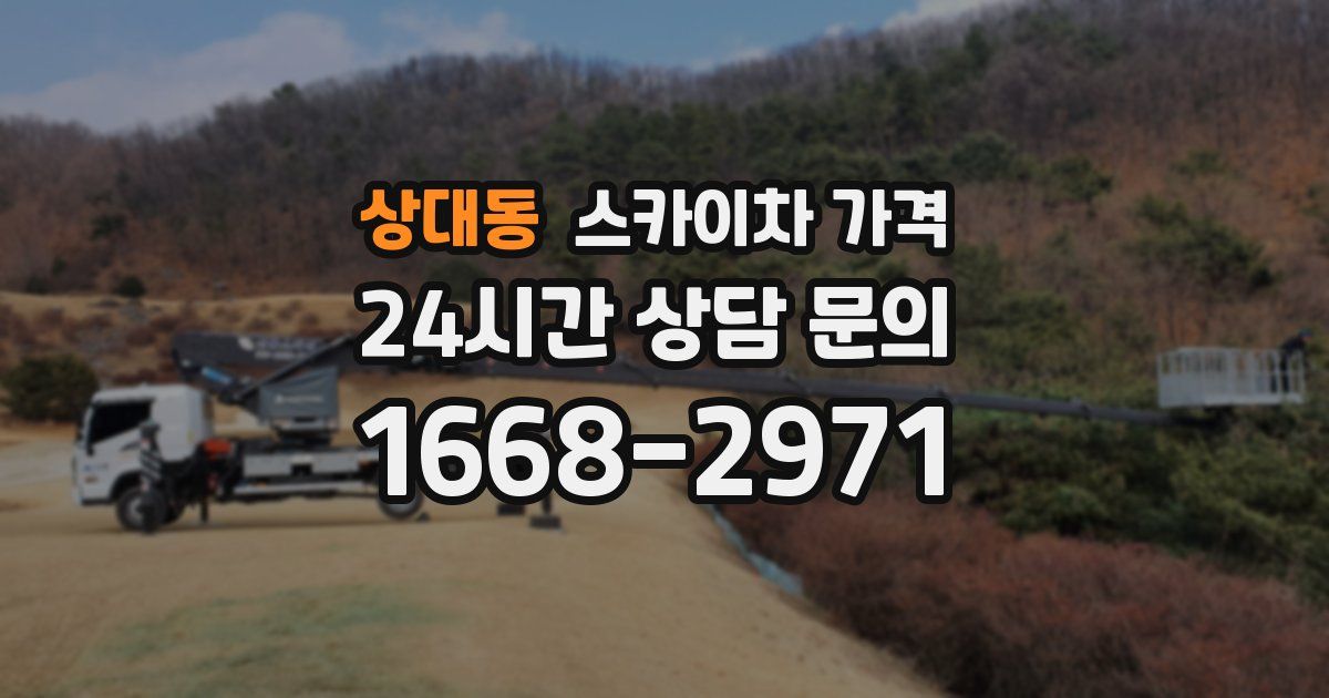 상대동 스카이차 가격