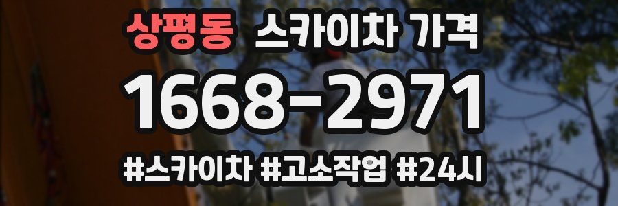 상평동 스카이차 가격