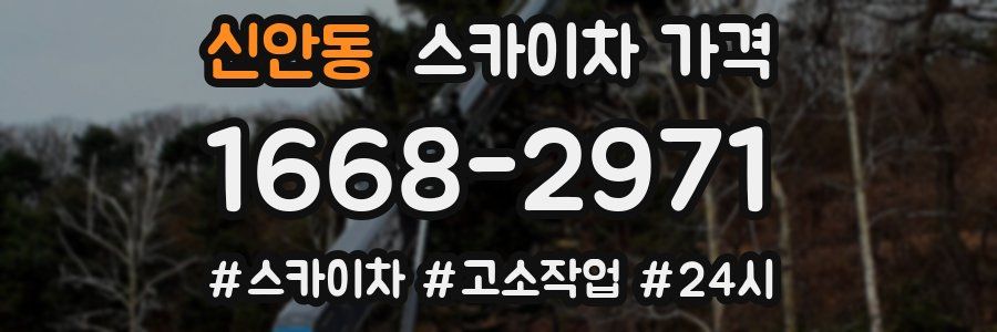 신안동 스카이차 가격