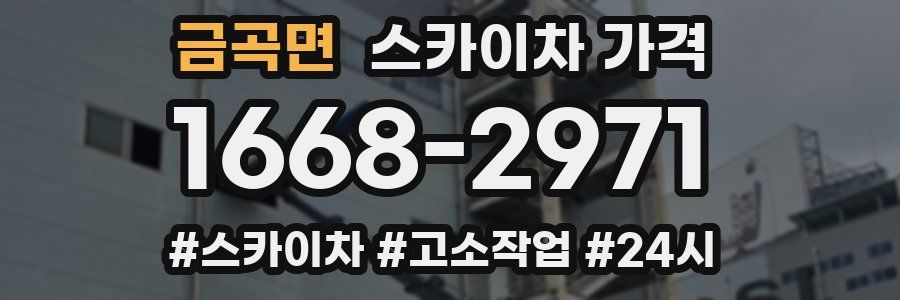 금곡면 스카이차 가격