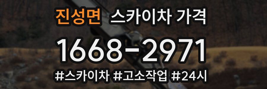 진성면 스카이차 가격