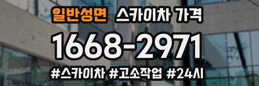 일반성면 스카이차 가격