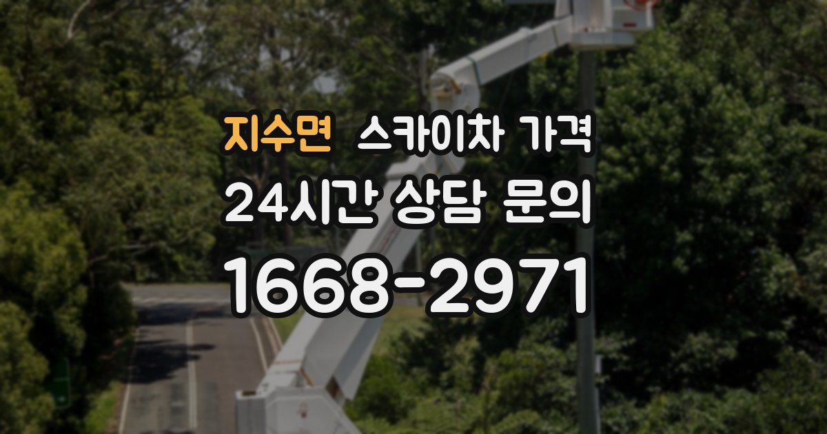 지수면 스카이차 가격