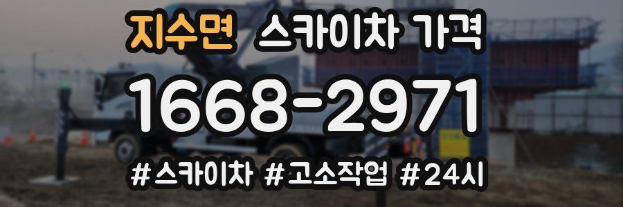 지수면 스카이차 가격