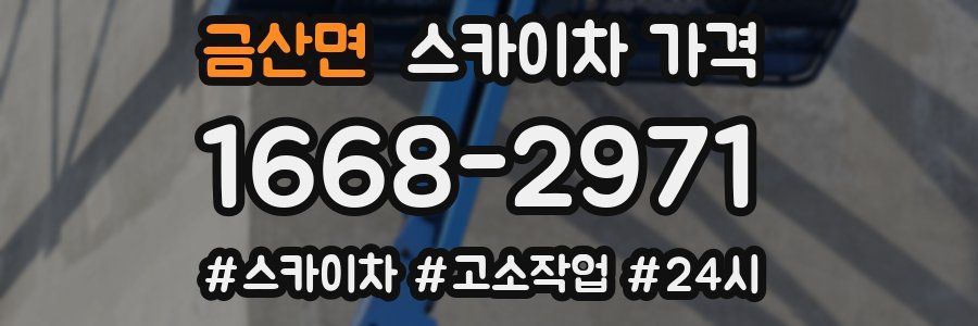 금산면 스카이차 가격