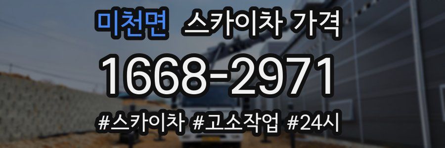 미천면 스카이차 가격