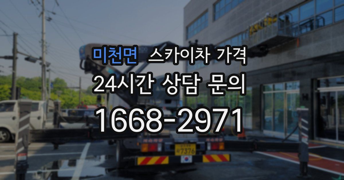 미천면 스카이차 가격