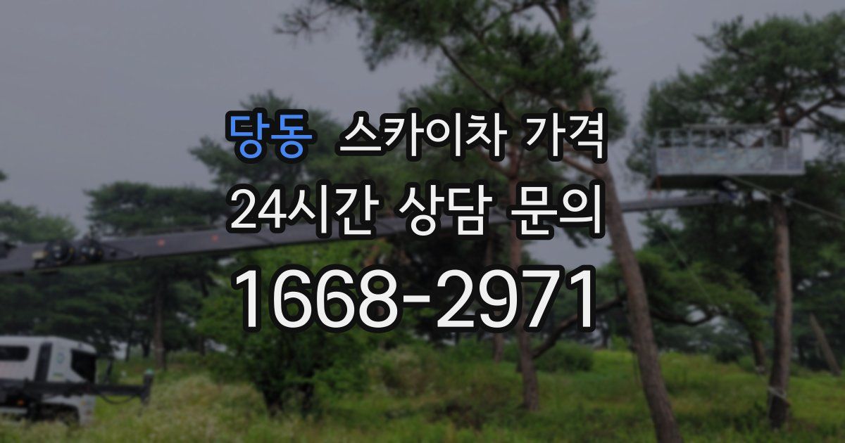 당동 스카이차 가격