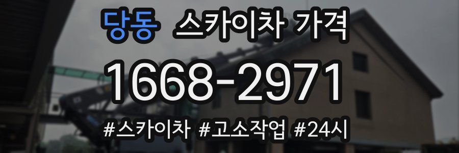 당동 스카이차 가격