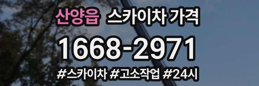 산양읍 스카이차 가격