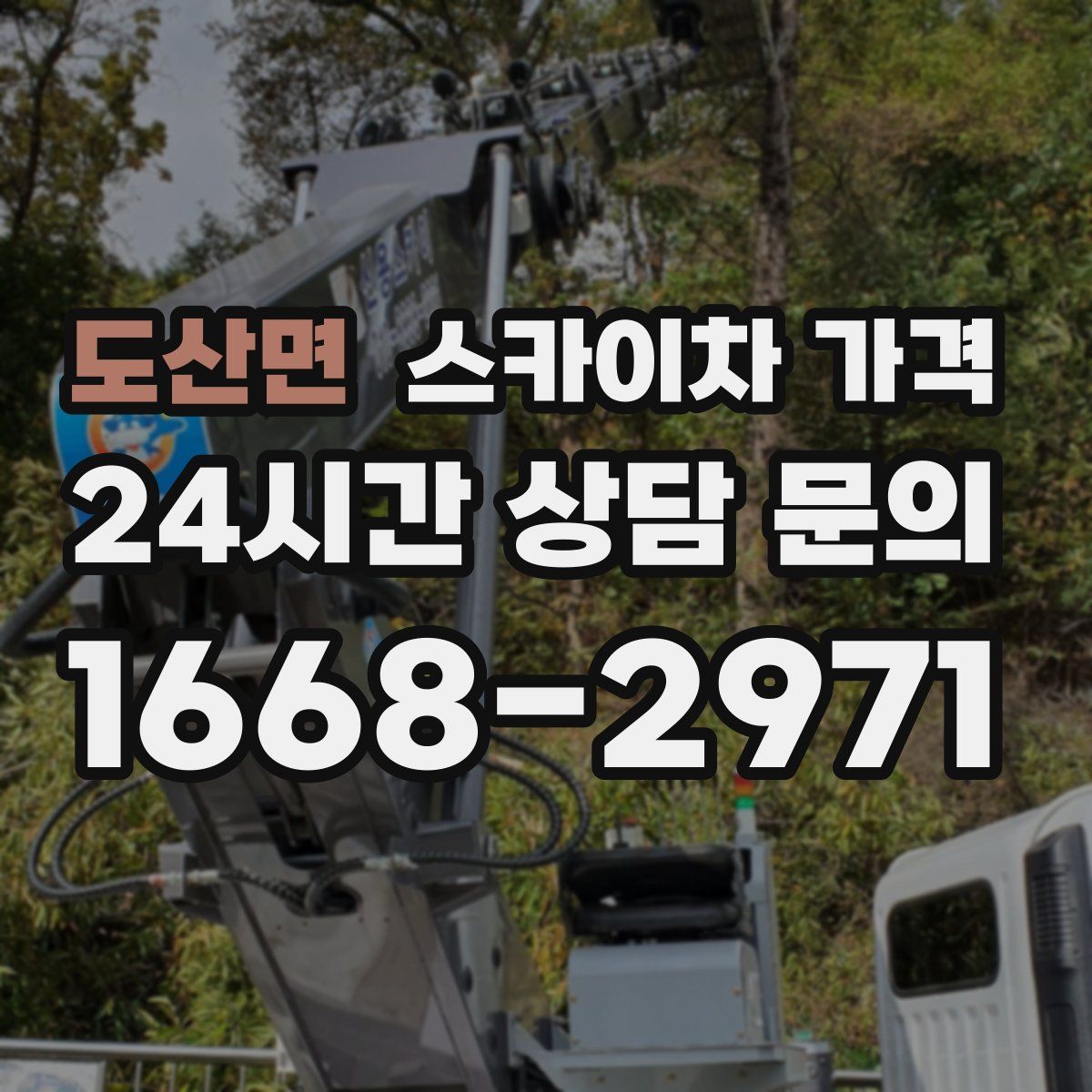 도산면 스카이차 가격