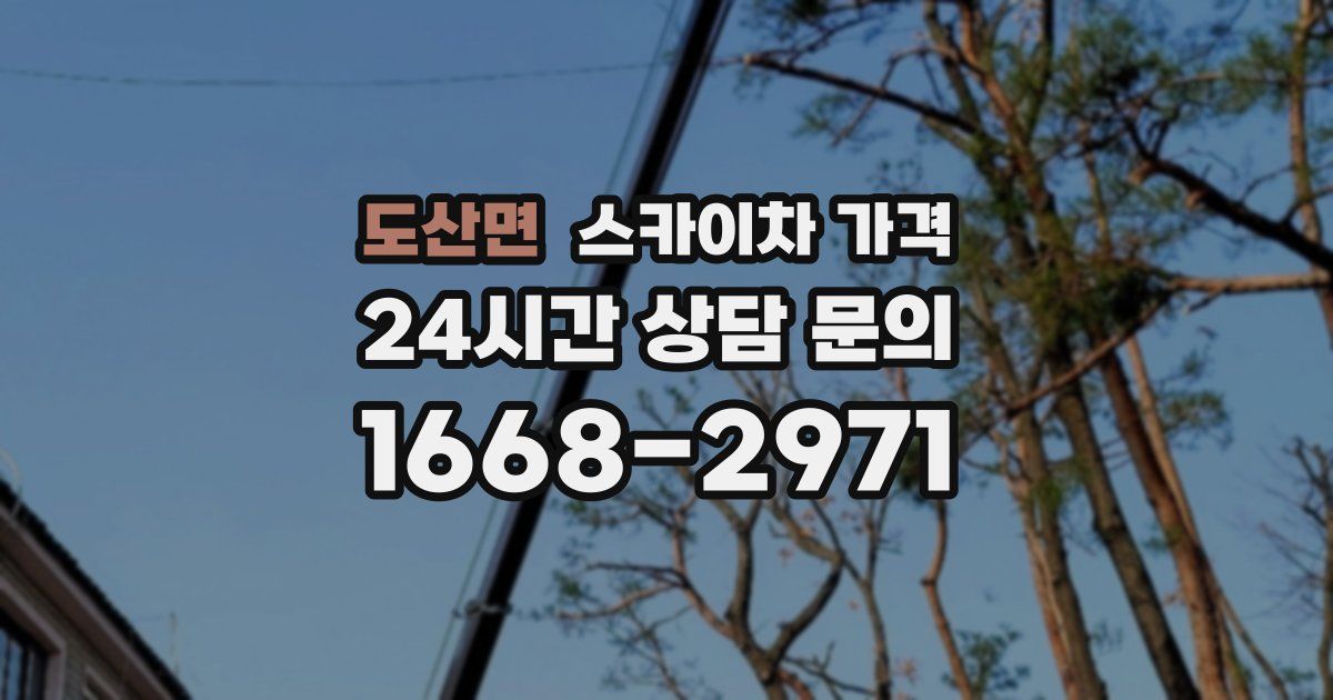 도산면 스카이차 가격