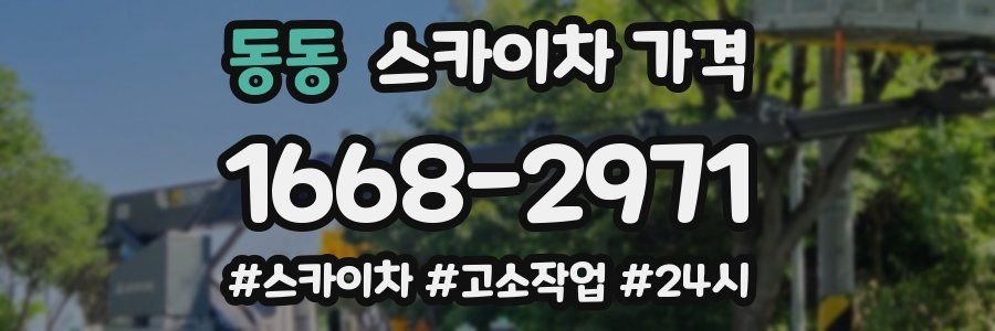 동동 스카이차 가격