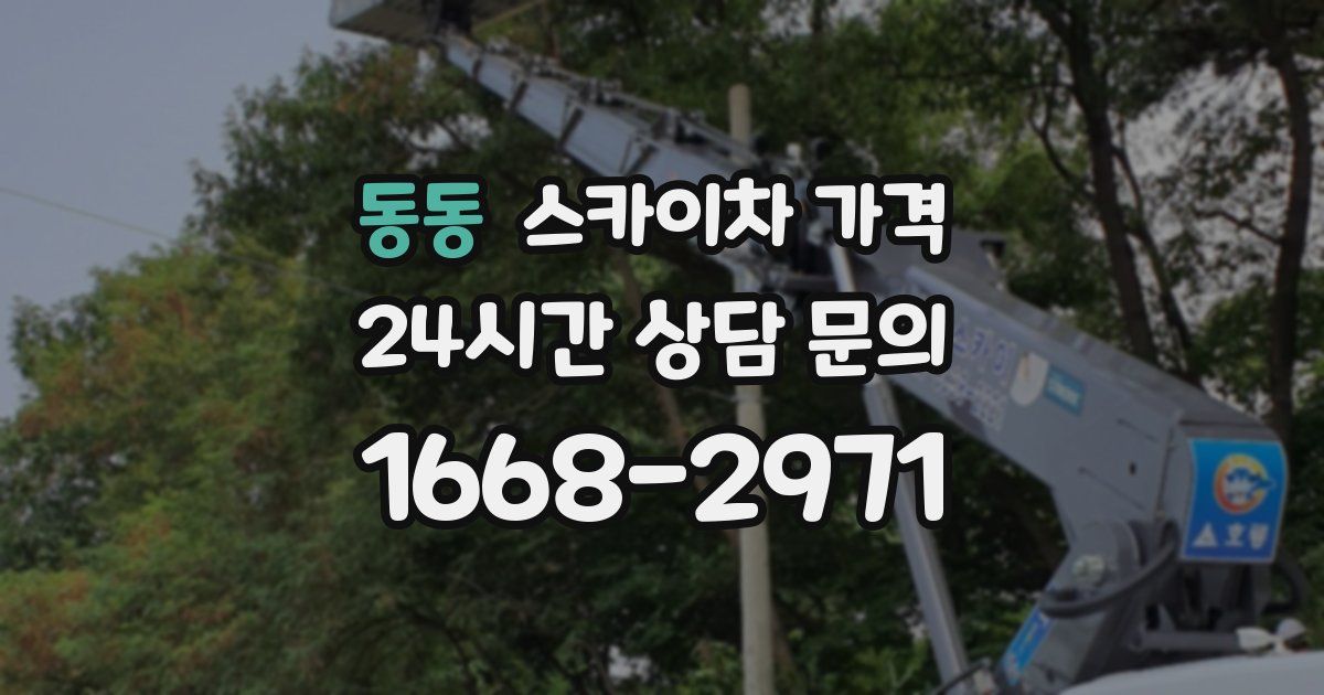 동동 스카이차 가격