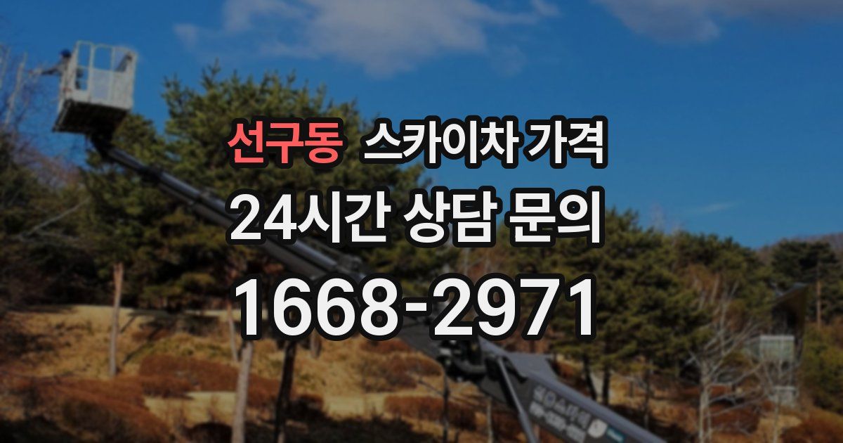 선구동 스카이차 가격