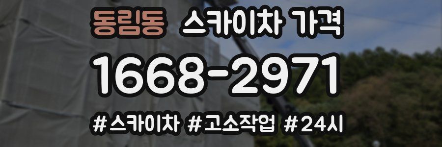 동림동 스카이차 가격