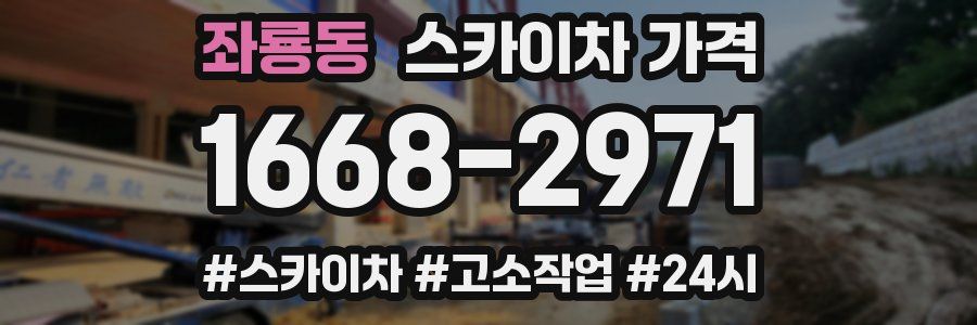 좌룡동 스카이차 가격