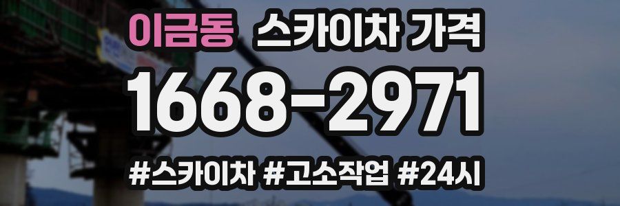 이금동 스카이차 가격