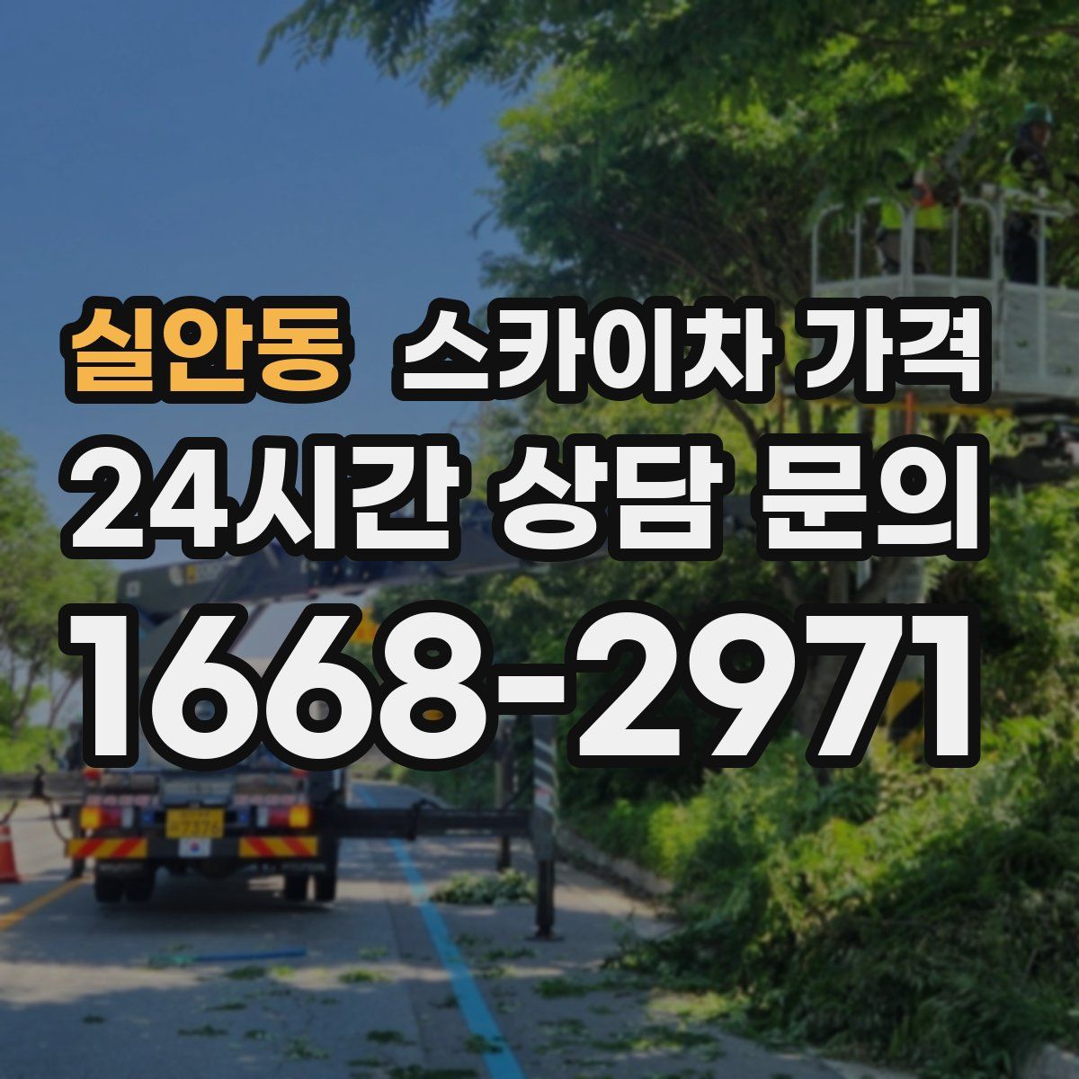 실안동 스카이차 가격