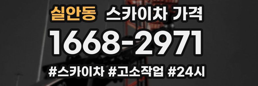 실안동 스카이차 가격