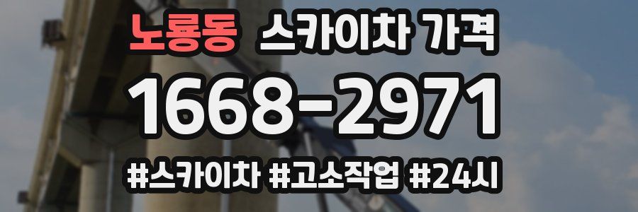 노룡동 스카이차 가격