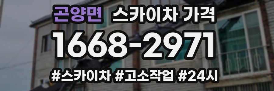 곤양면 스카이차 가격