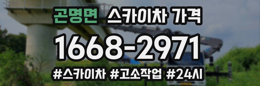 곤명면 스카이차 가격