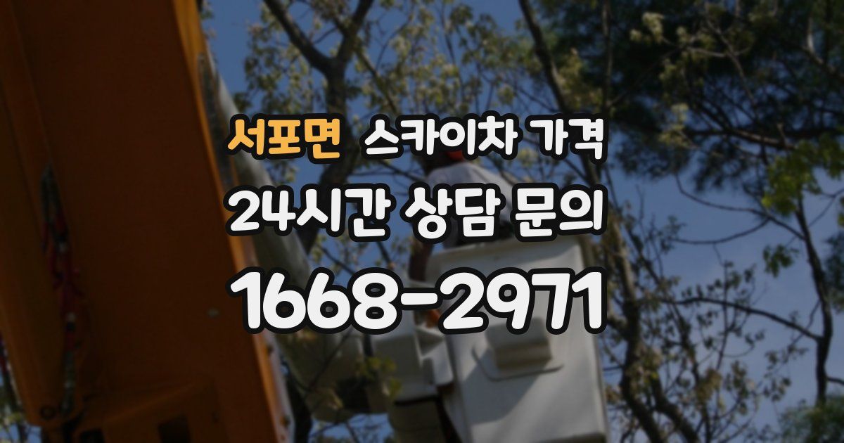 서포면 스카이차 가격