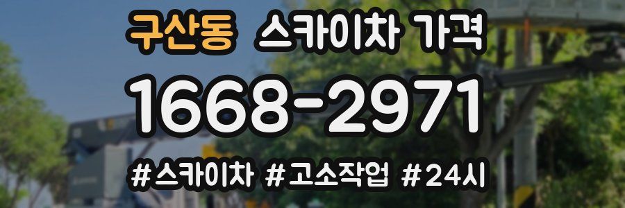 구산동 스카이차 가격