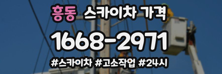 흥동 스카이차 가격