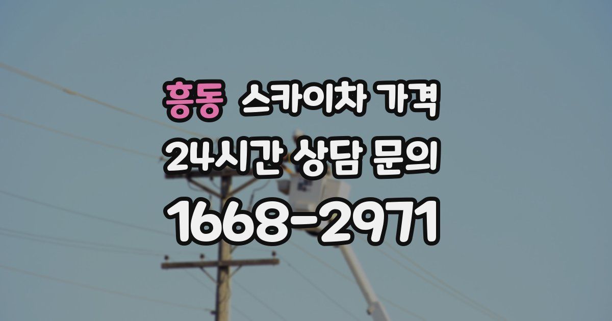 흥동 스카이차 가격