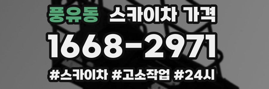 풍유동 스카이차 가격