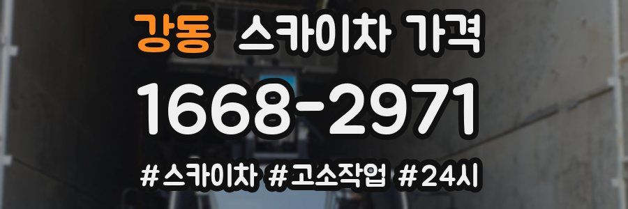 강동 스카이차 가격