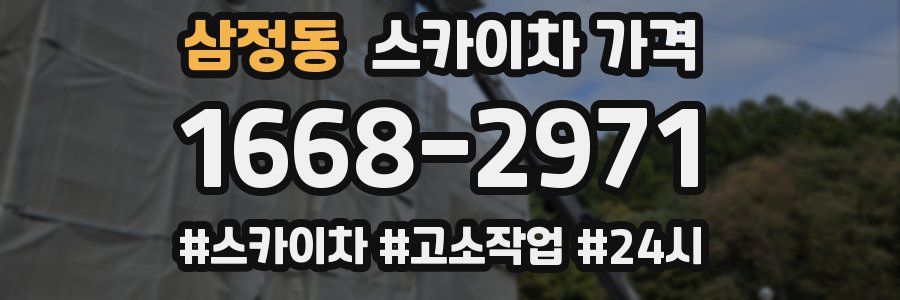 삼정동 스카이차 가격