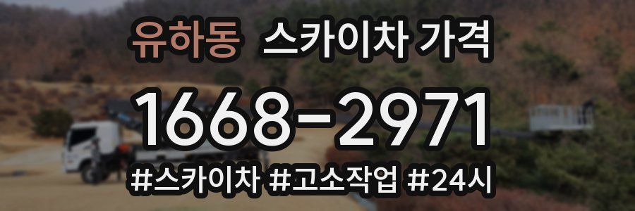 유하동 스카이차 가격