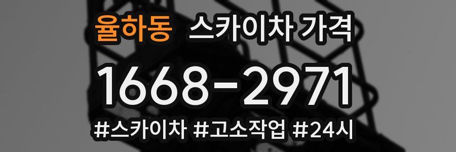 율하동 스카이차 가격