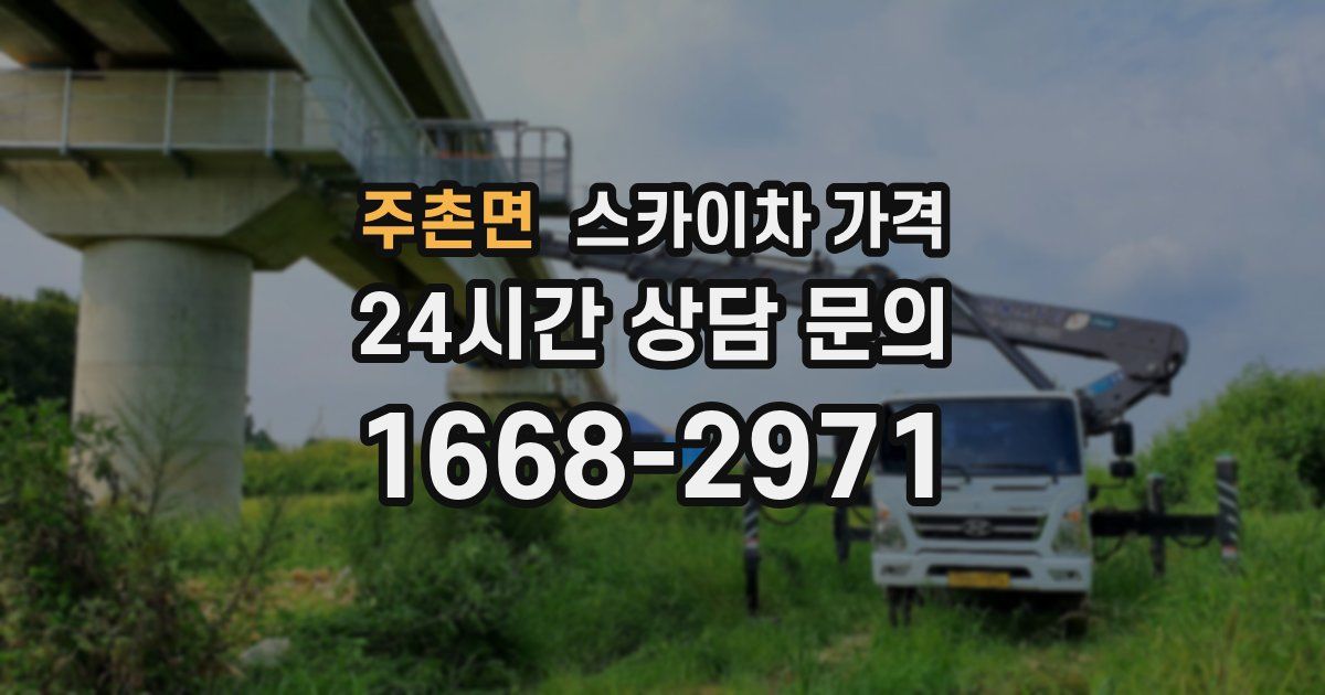 주촌면 스카이차 가격