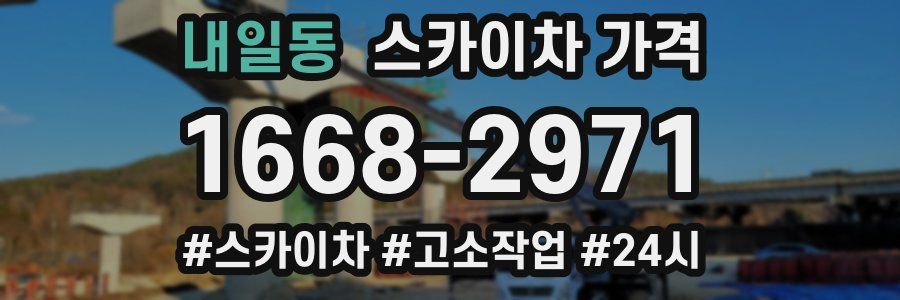 내일동 스카이차 가격