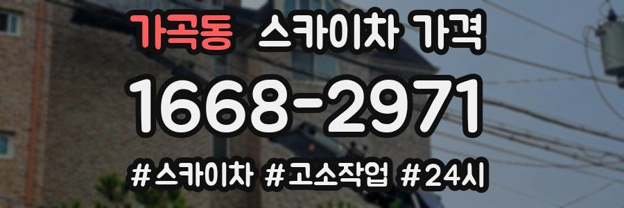 가곡동 스카이차 가격