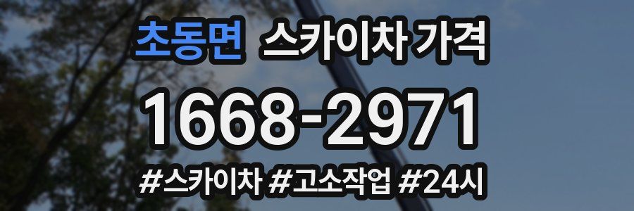 초동면 스카이차 가격