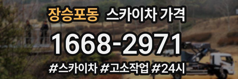 장승포동 스카이차 가격