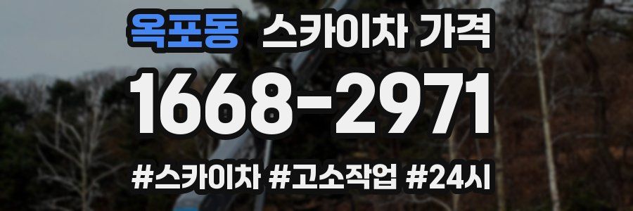 옥포동 스카이차 가격