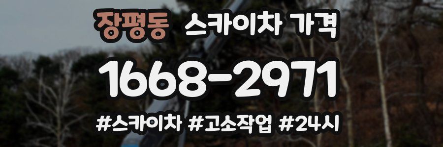 장평동 스카이차 가격