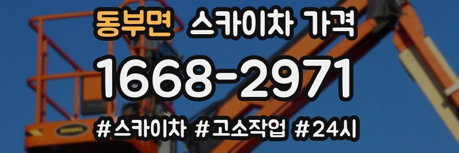 동부면 스카이차 가격