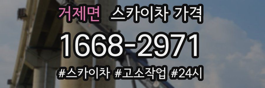 거제면 스카이차 가격