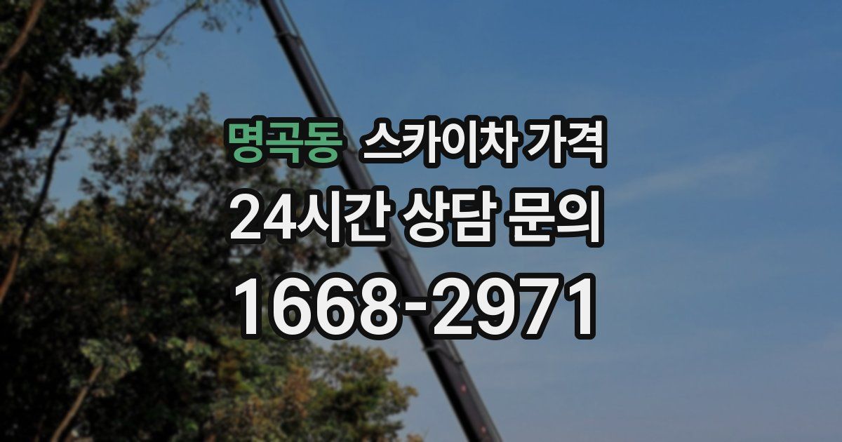 명곡동 스카이차 가격