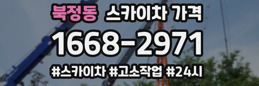 북정동 스카이차 가격