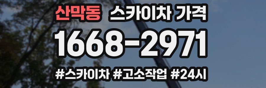 산막동 스카이차 가격