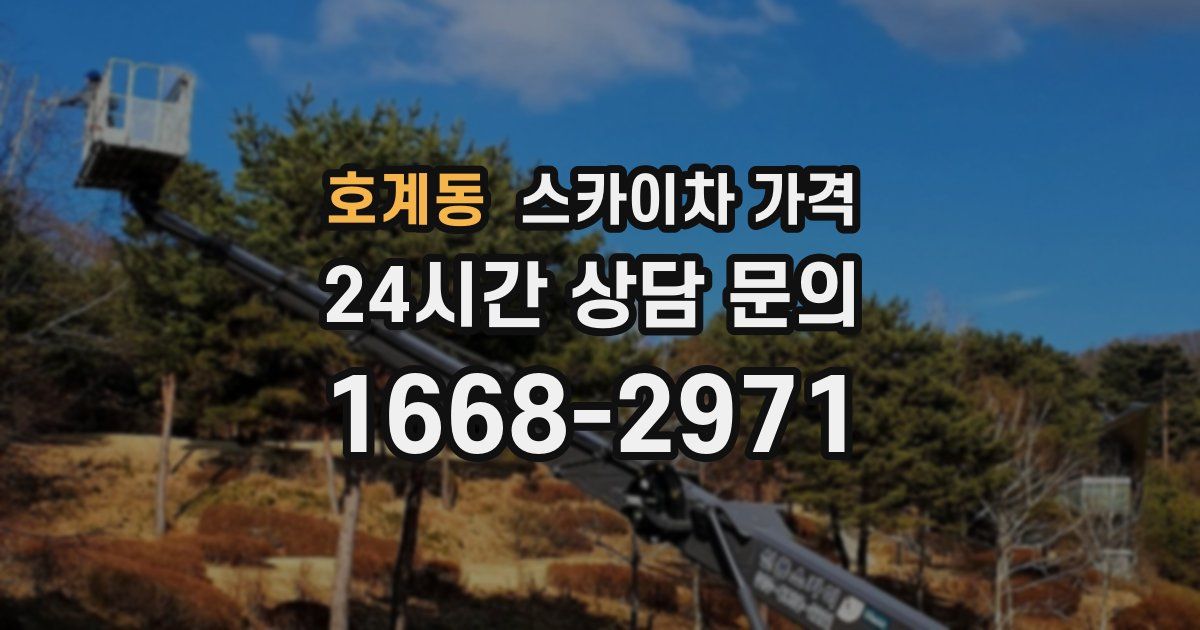 호계동 스카이차 가격